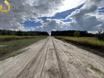 Działka Sprzedaż Nowe Mistrzewice