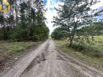 Działka Sprzedaż Nowe Mistrzewice