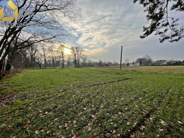 Działka Sprzedaż Andrzejów Duranowski